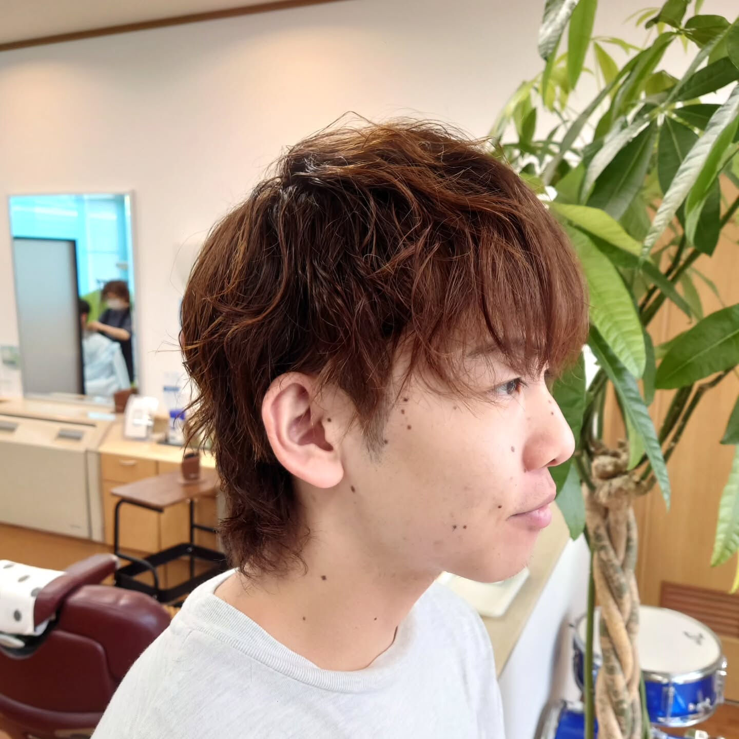 マッシュウルフ×パーマ🌀