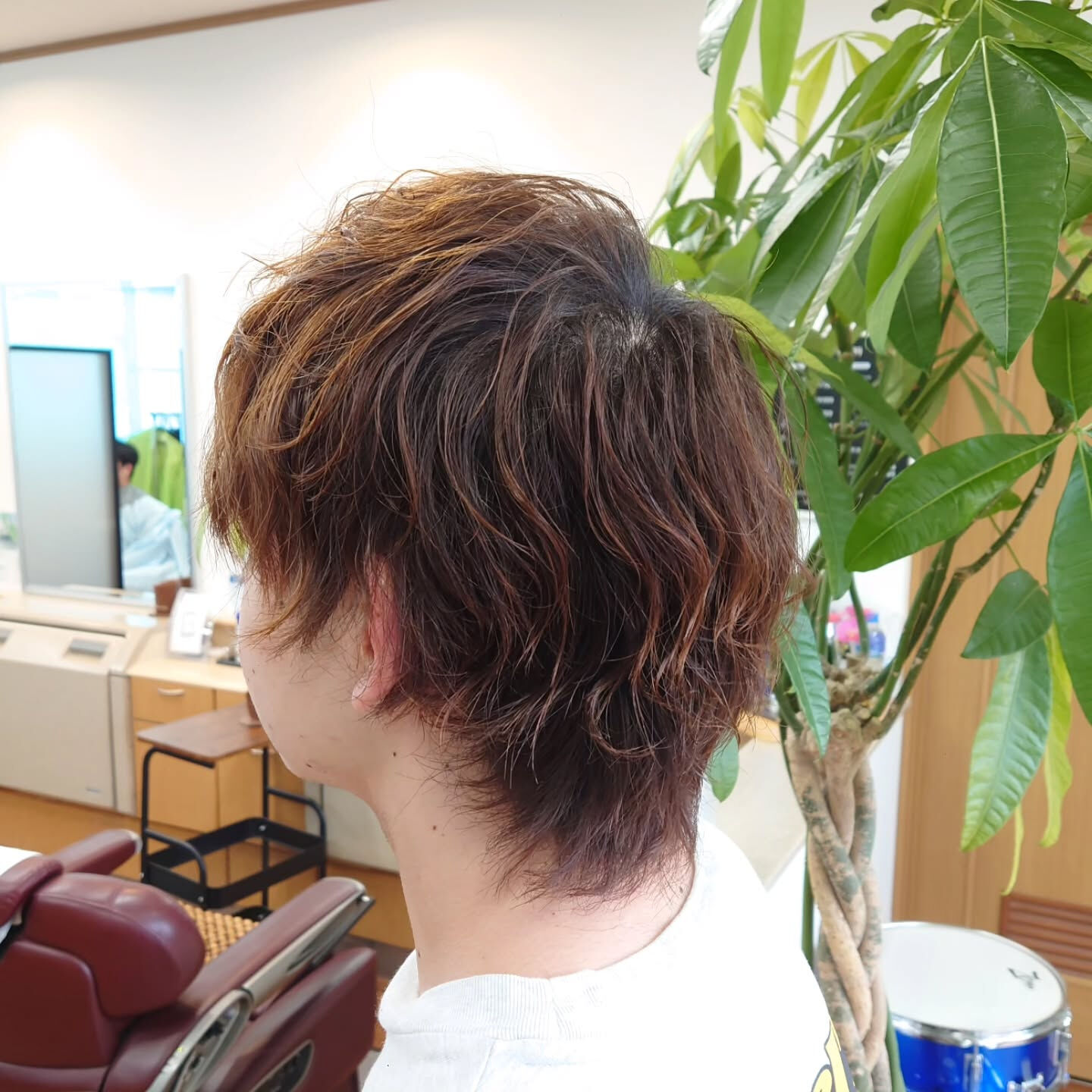マッシュウルフ×パーマ🌀