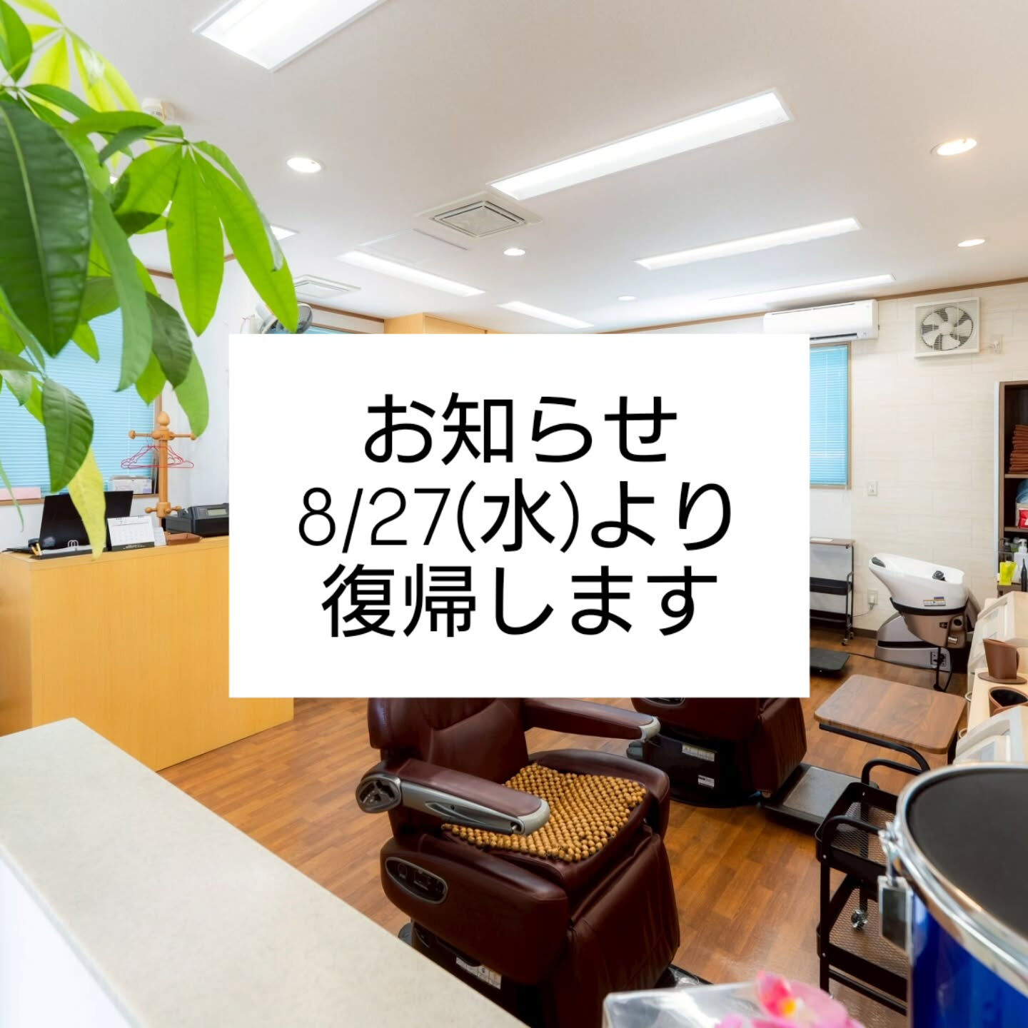 8/27(水)より営業復帰したします