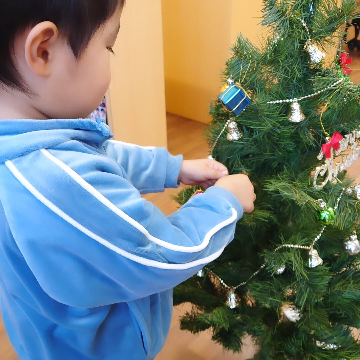 クリスマスイヴですね🎄