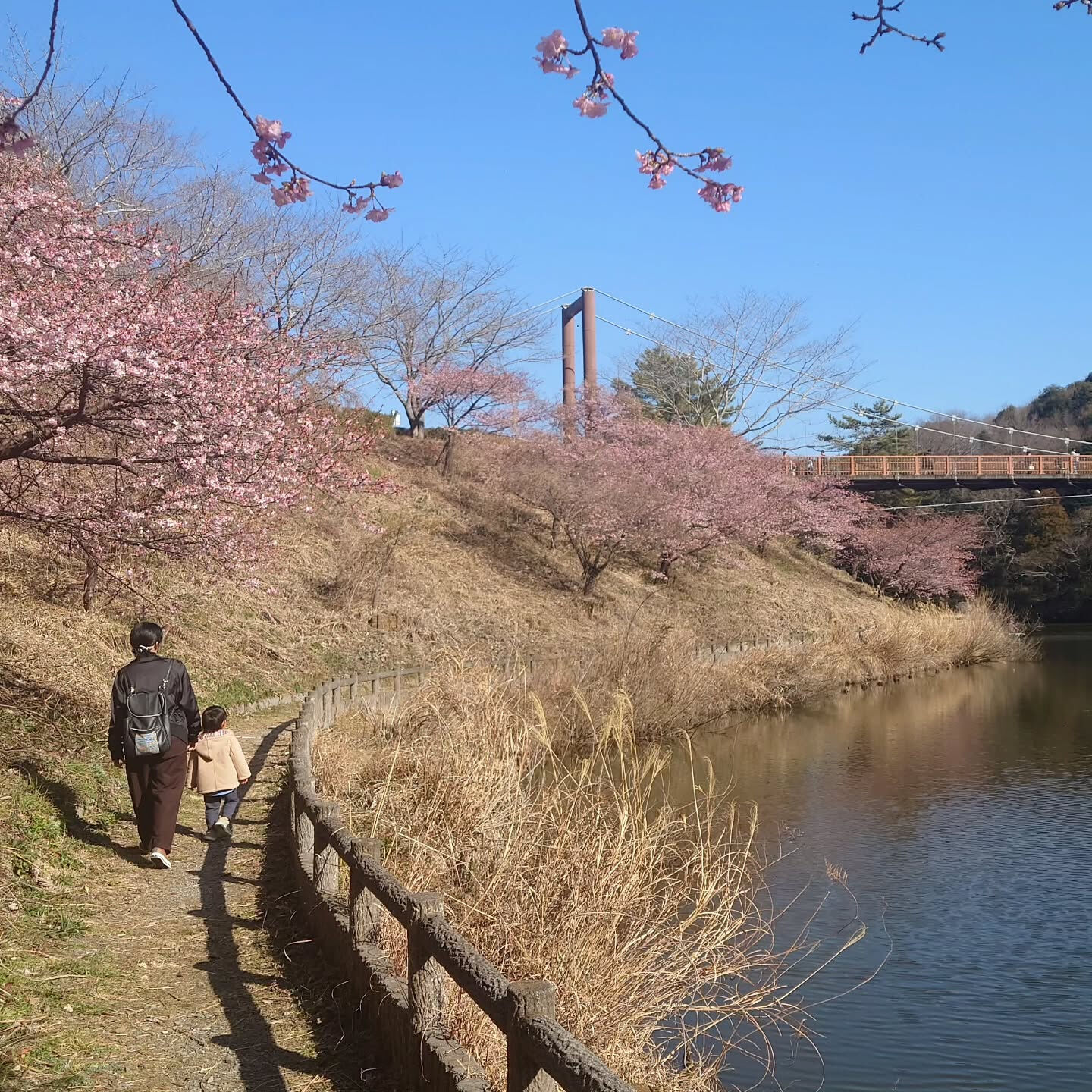 先日のお休みに、都田総合公園を散策してきました🏞️