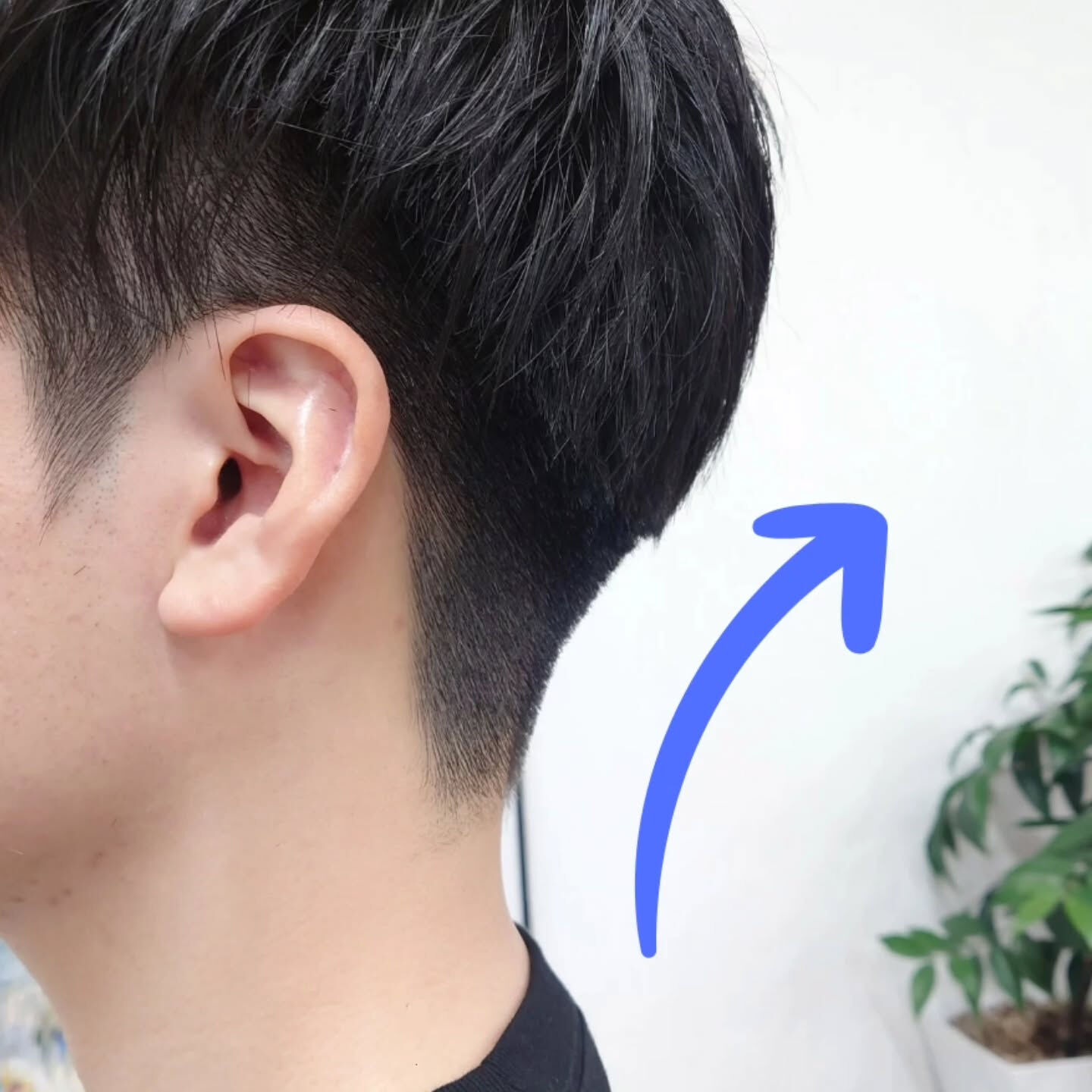 刈り上げのイメージの違い💈