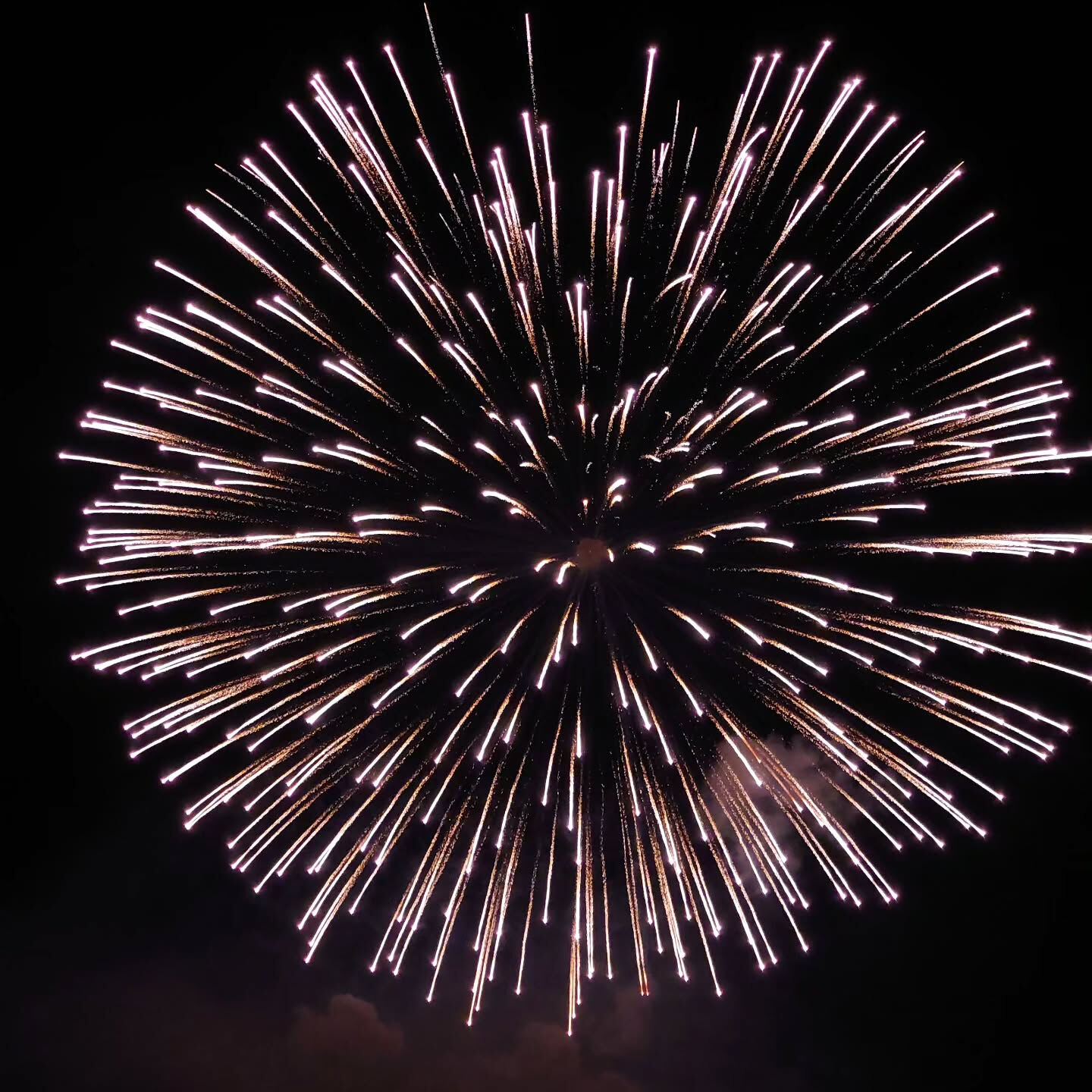 鹿島の花火を見に行きました🎆