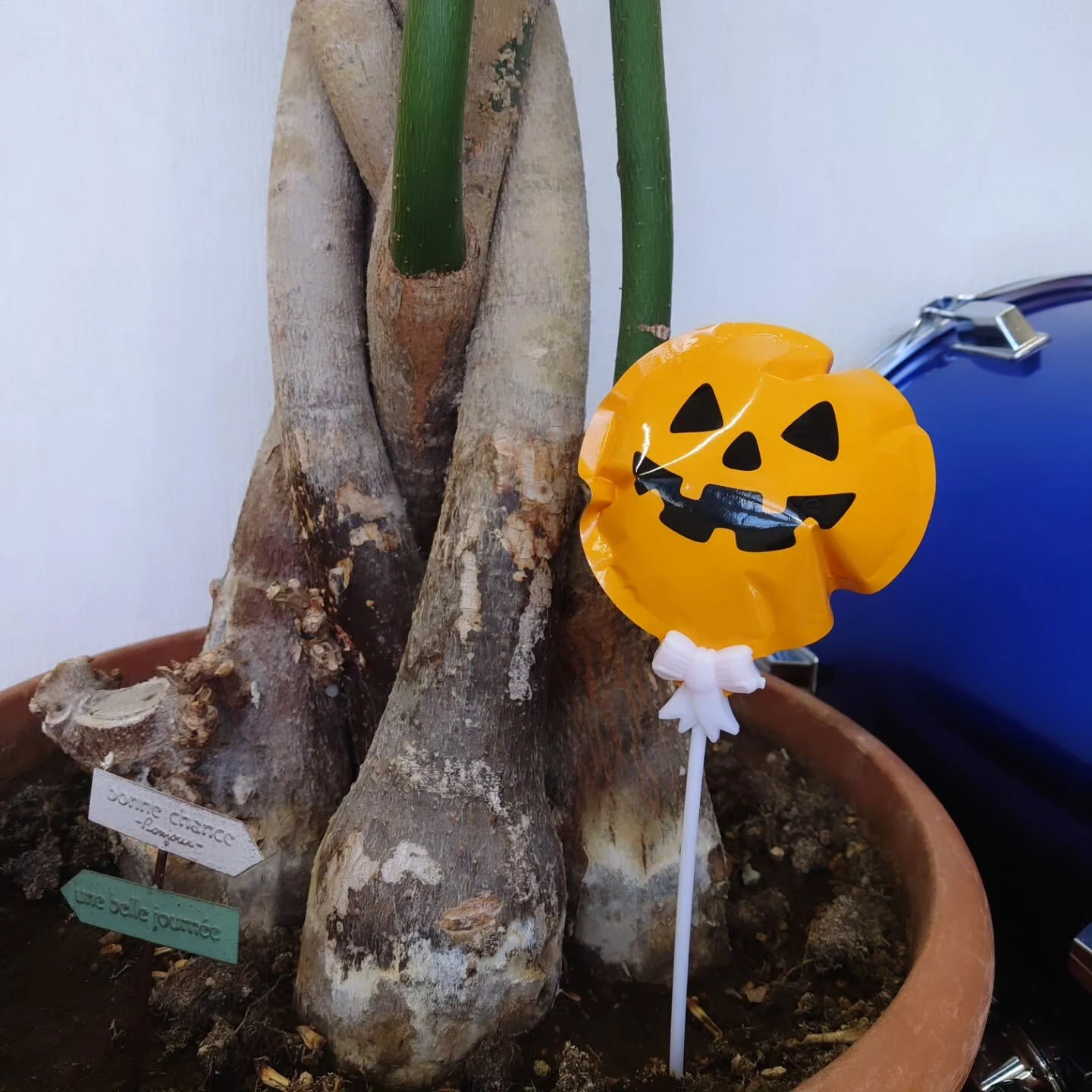 店内も少しずつハロウィン仕様に🎃